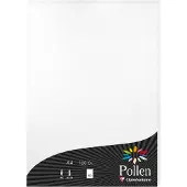 Pollen Papier