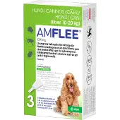 TAD Pharma GmbH Geschäftsbereich Veterinärmedizin amflee spot on hond 10-20 kg 134 mg 3 pip