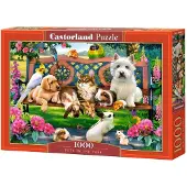 Castorland Pets in the Park Puzzel (1000 stukjes)