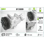 Valeo 813809 Aircopomp