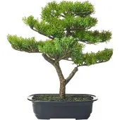 Beliani PINE - Kunstplant - Groen - 37 cm - Synthetisch materiaal