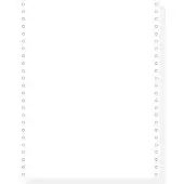 Exacompta 1000 vellen 2 ex.zelfkopiërend listingpapier 240x12 afscheurbare Caroll banden - Wit - 62522E