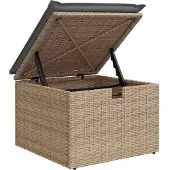vidaXL 9-delige Loungeset met kussens poly rattan beige