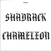 Import Shadrack Chameleon