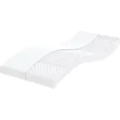 vidaXL Slaapbank onderschuifbed matrassen 80x200cm fluweel donkergroen