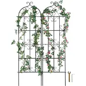 Vevor Klimplantensteun
