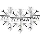 Red Dragon Gerwyn Price Grey Snowflake - Dart Flights
