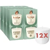 Bolsius - CleanLight - 12 Gegeurde Navullingen - Cedarwood & Vetiver - Navulbare Geurkaarsen