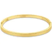 CO88 Collection 8CB-91376 – Armband Dames – Glad Design – Goudkleurig – 4 mm – Cadeau voor Vrouwen