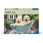 Ravensburger Golden Retriever-puzzel 200 Stukken
