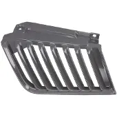 BLIC Radiatorrooster 6502-07-3783993P links