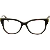 Ana Hickmann Brilmontuur HI6292T G21 51