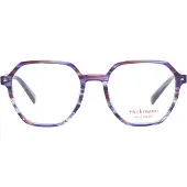 Ana Hickmann Optisch montuur HI6235 E02 50