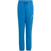 Adidas Sportbroek 'Essentials' blauw