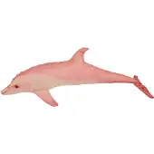 Energoteam Dolphin Pillow Roze 55 cm