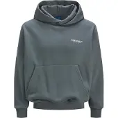 Jack & Jones Sweatshirt 'JORIslington'