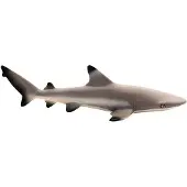 Safari Zwartpuntrifhaai door