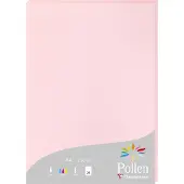 Pollen Papier