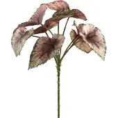 Ptmd collection PTMD Leaves Plant Begonia Kunsttak - 17 x 22 x 33 cm - Paars/groen