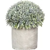 Pomax - Artificiële plant in pot 'Concrete Jungle' (Groen)