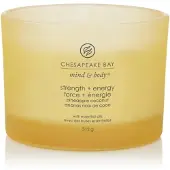 Chesapeake Bay Candle – Kracht & Energie – geurkaars met 3 lonten 312 g