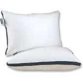 Silver Star Hotelkussens - 2-PACK 40x60 cm