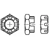 Toolcraft TO-6864324 Kroonmoeren M16 DIN 979 Staal 50 stuk(s)