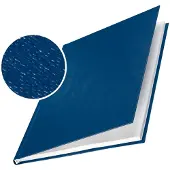 Leitz Din A4 Serie Classic Lomo Rigid Lid 17.5 Mm 10 Units Blauw Kinderen
