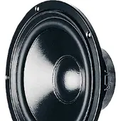 Visaton W 200 S - 8 Ohm 8 inch 20.32 cm Woofer 75 W 8 Ω