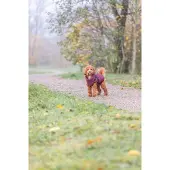 Trixie hondenjas pirou met tuig sangria