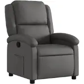 vidaXL Relaxfauteuil Grijs Echt Leer