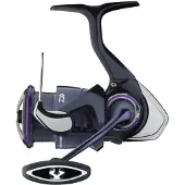 Daiwa Prorex V 25 Lt Spinning Reel Zilver 2000SXH