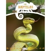 Grenouille LES REPTILES