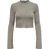 ONLY Tonja Top Met Lange Mouwen Beige L Vrouw
