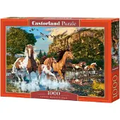 Castorland Horse Wonderland – Puzzel – 1.000 stukjes – Satijnen afwerking – Perfecte pasvorm – Europese kwaliteit