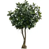 Maxifleur Kunstplanten Ficus Elastica Robusta Kunstboom XXL Deluxe 350cm