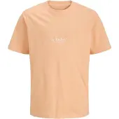 Jack & Jones Junior Shirt 'JJESoho' oranje