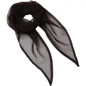Premier Dames chiffon sjaal