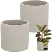 KOTARBAU Serie - Bloempot - Cilindrisch - 16 cm - Betonlook