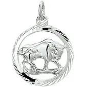 The Jewelry Collection Hanger Sterrenbeeld Gediamanteerd Zilver Gerhodineerd