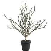 Ptmd kunstblad leaves - 37x46x50cm