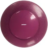 FitPAWS Balance Disc