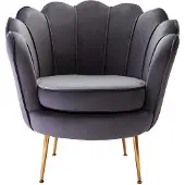 Vente-Unique.nl Fauteuil van fluweel DANDELION - Antraciet