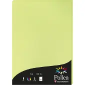 Clairefontaine Etui de 50 feuilles A4 Pollen Vert Bourgeon