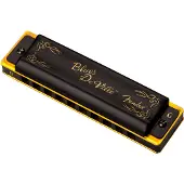 Fender Blues Deville Harmonica, Toonsoort G