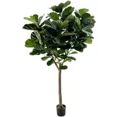 Maxifleur Kunstplanten Lyrata Deluxe Y Kunstboom 220cm in pot