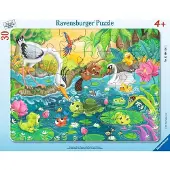 Ravensburger , Zomer aan de vijver, 30 stukjes, Prentenboek, vanaf 4 jaar