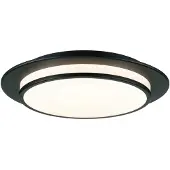Paulmann 96785 Egron LED-plafondlamp LED Bajonet 16 W Zwart (mat)