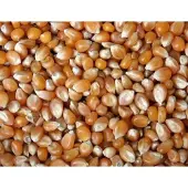 Wielink Extra kleine mais 25 kg
