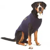 PADU Hond